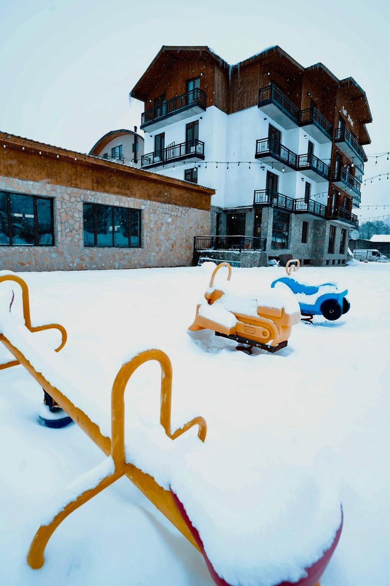 Loft Hotel バクリアニ エクステリア 写真